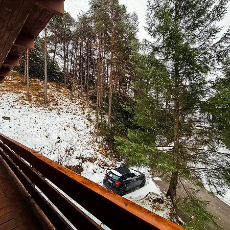 Auralpina 17min From Cortina シャレー