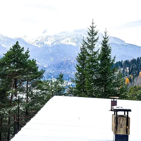 Auralpina 17min From Cortina シャレー *